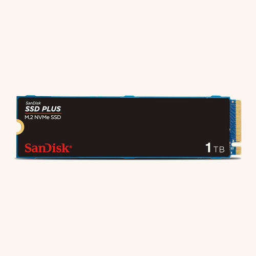 SanDisk SSD Plus 1TB M.2 (SDSSDA3N-1T00-G26)